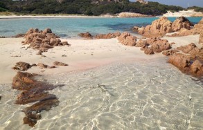 Spiaggia rosa
